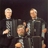 Липецкое трио баянистов