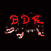 Студия звукозаписи Black Dogs Records