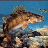 В Орле впервые пройдет Кубок России по спортивной ловле рыбы!