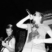 Обезьяны против крокодилов!