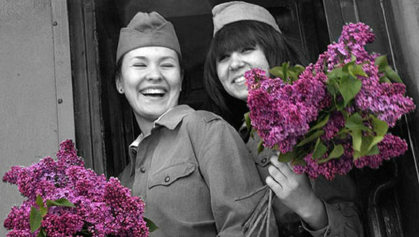 сирень победы